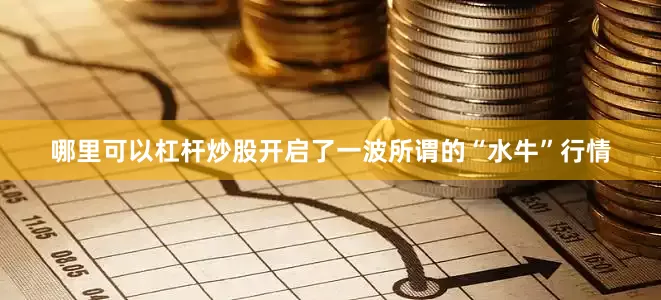 哪里可以杠杆炒股开启了一波所谓的“水牛”行情
