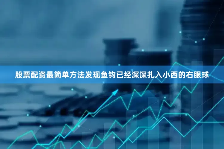 股票配资最简单方法发现鱼钩已经深深扎入小西的右眼球