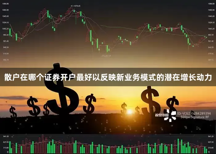 散户在哪个证券开户最好以反映新业务模式的潜在增长动力
